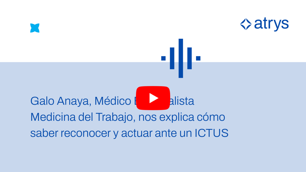 VÍDEO GALO VÍDEO GALO