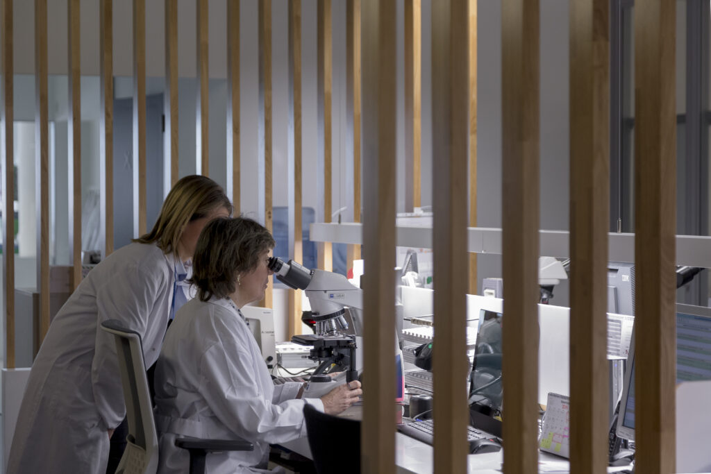 23_12_19_LABORATORIO_300dpi_022